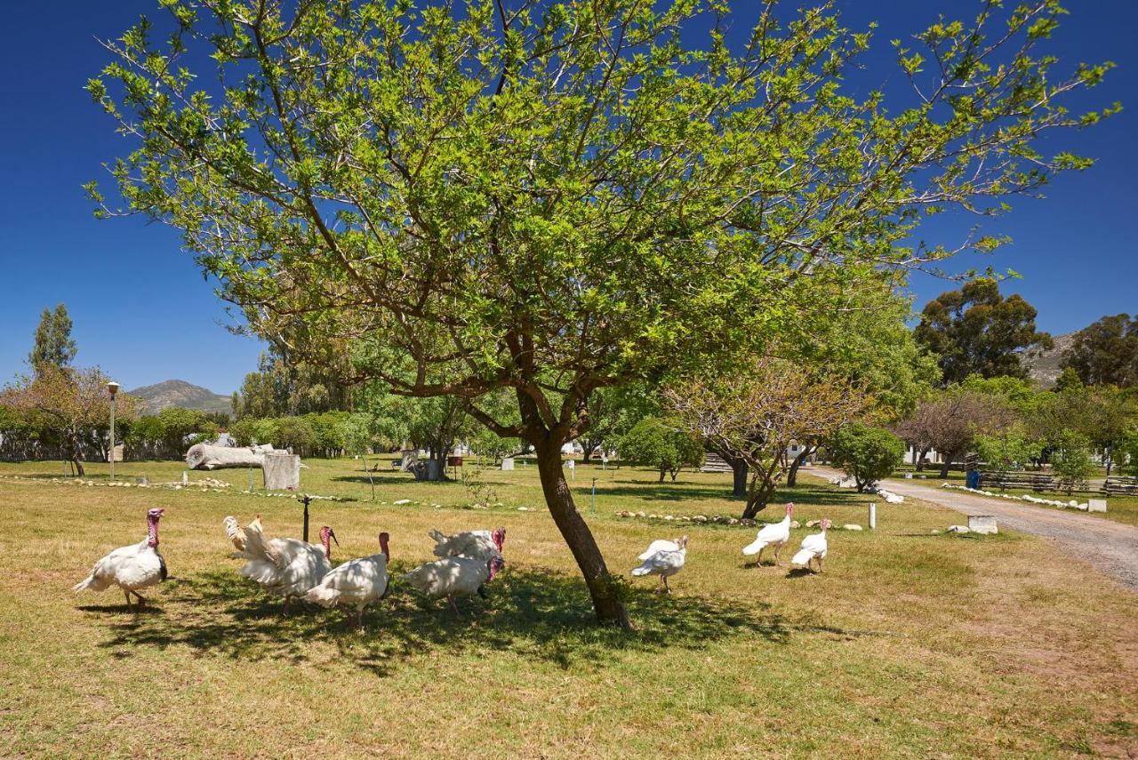 Citrus Creek Chalets Citrusdal Esterno foto